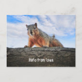 アイオワ葉書からこんにちは ポストカード (正面)