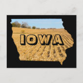 アイオワ風光明媚なコーンフィールド自然写真旅行 ポストカード (正面)