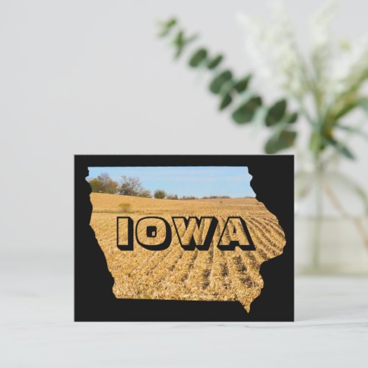 アイオワ風光明媚なコーンフィールド自然写真旅行 ポストカード (スタンド正面)