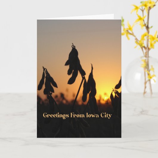 アイオワ·シティからのご挨拶、夕暮れに大豆 カード (黄色い花)