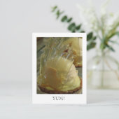 アイキャンディ ポストカード (スタンド正面)