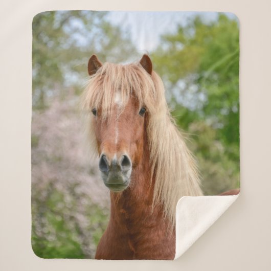 アイギディエンベルガー 馬頭 ヘア 馬種 アイスランドの 馬とパソフィーノ シェルパブランケット (正面)