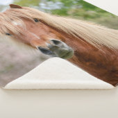 アイギディエンベルガー 馬頭 ヘア 馬種 アイスランドの 馬とパソフィーノ シェルパブランケット (3/4)