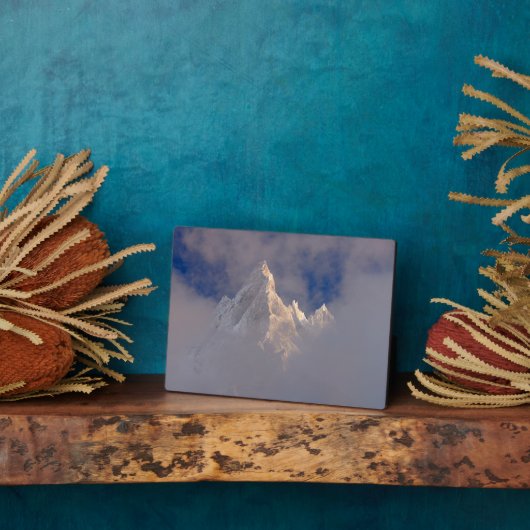 アイグイユドバイティエール |フランス フォトプラーク (側面)