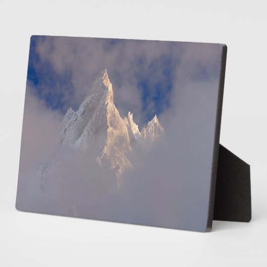 アイグイユドバイティエール |フランス フォトプラーク (側面)