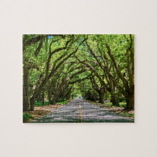 アイケンズサウスバウンダリジグソーパズル ジグソーパズル (横)