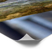 アイコニックなアメリカのハゲ ポスター (角)