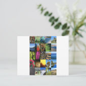 アイコニックなニュージーランドキウィアナの自然シーン ポストカード (スタンド正面)