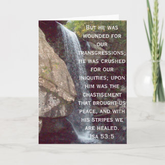 アイザイア53のコレクション シーズンカード