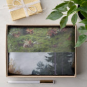 アイザック・レビタンによって秋の森で 薄葉紙 (ギフト)