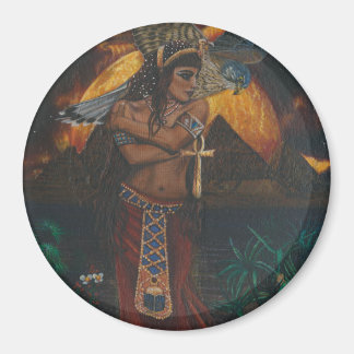 アイシス磁石 マグネット