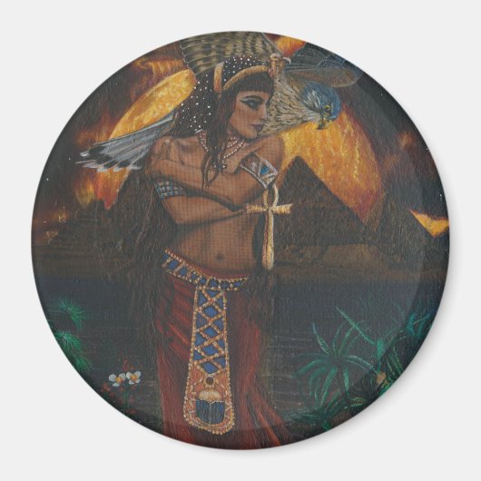 アイシス磁石 マグネット (正面)