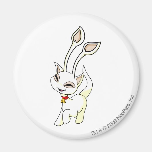 アイシャホワイト マグネット (正面)