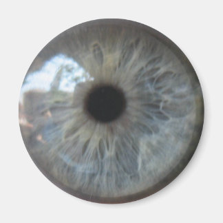 アイシーユー冷蔵庫用マグネット マグネット