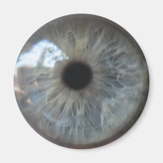 アイシーユー冷蔵庫用マグネット マグネット (正面)