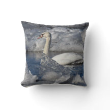 アイシー川の若い白鳥