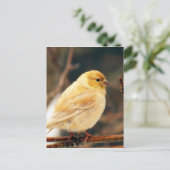 アイシー春 ポストカード (スタンド正面)