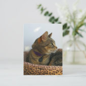 アイジングインジゴ ポストカード (スタンド正面)