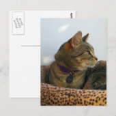 アイジングインジゴ ポストカード (正面/裏面)