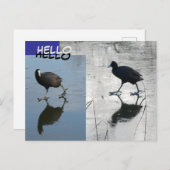 アイスの可愛い料理。HELLOポストカード ポストカード (正面/裏面)