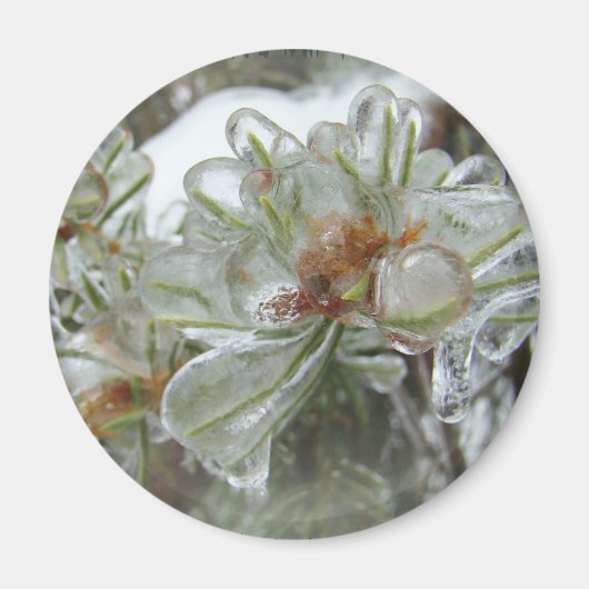 アイスの履歴書のヒント マグネット (正面)