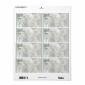 アイスの履歴書のヒント ラベル (フルシート)