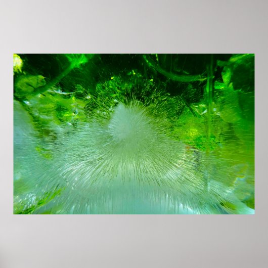 アイスの花ポスター ポスター (正面)