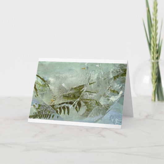 アイスの花、カード カード (正面)