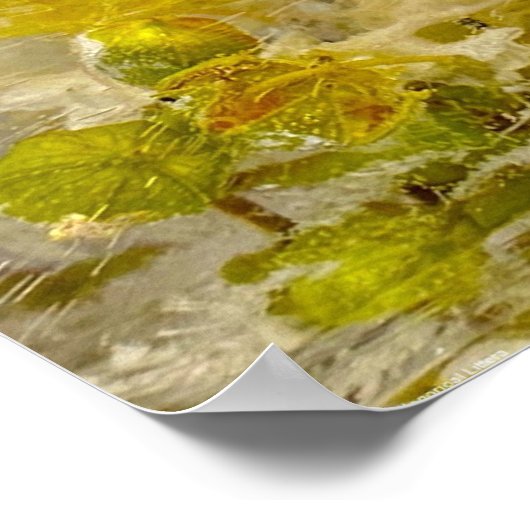 アイスの花 ポスター (角)