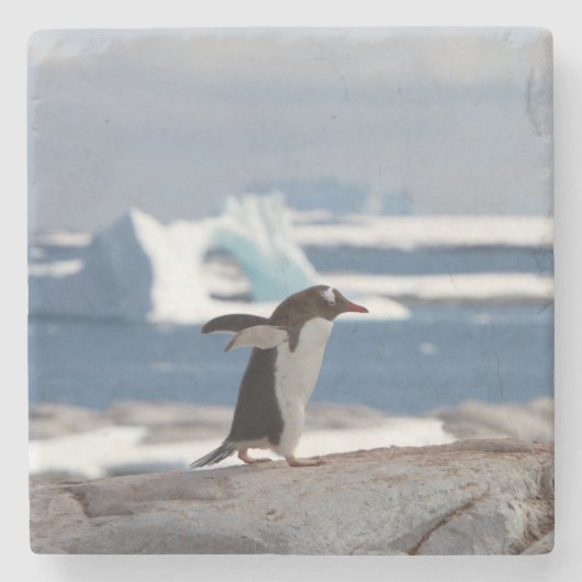 アイスアーチの前のペンギン ストーンコースター (正面)