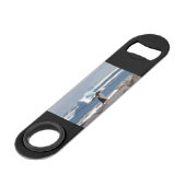 アイスアーチの前のペンギン スピード栓抜き (正面アングル)