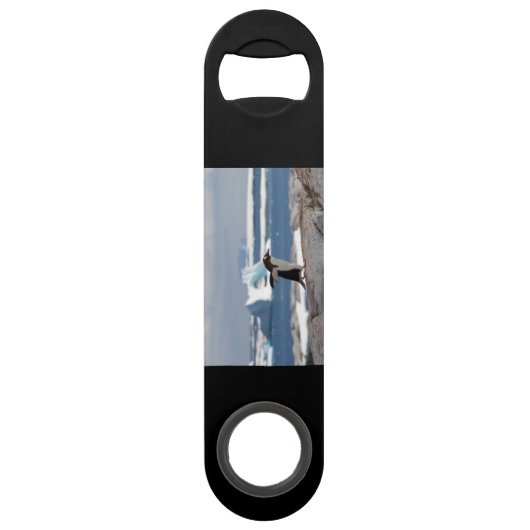 アイスアーチの前のペンギン スピード栓抜き (裏面)