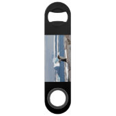 アイスアーチの前のペンギン スピード栓抜き (正面)