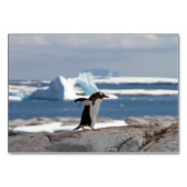 アイスアーチの前のペンギン テーブルナンバー (正面)