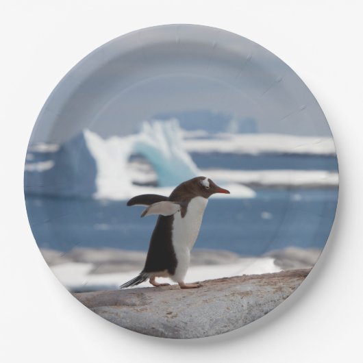 アイスアーチの前のペンギン ペーパープレート (正面)
