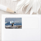 アイスアーチの前のペンギン ラベル (インサイチュ)