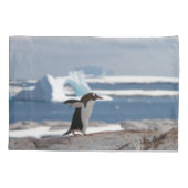 アイスアーチの前のペンギン 枕カバー (裏面)