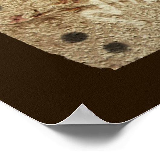 アイスエイジケーブアート ポスター (角)