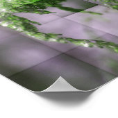 アイスオンゴールデロッド自然ポスター ポスター (角)