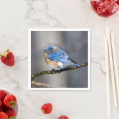 アイスカバー付きリムペーパーナプキン上の東部ブルーバード スタンダードカクテルナプキン (インサイチュ)