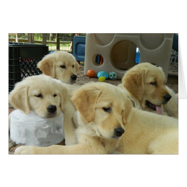 アイスキャンディーカード (正面横)