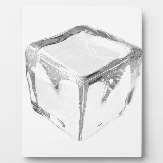 アイスキューブ フォトプラーク (正面)