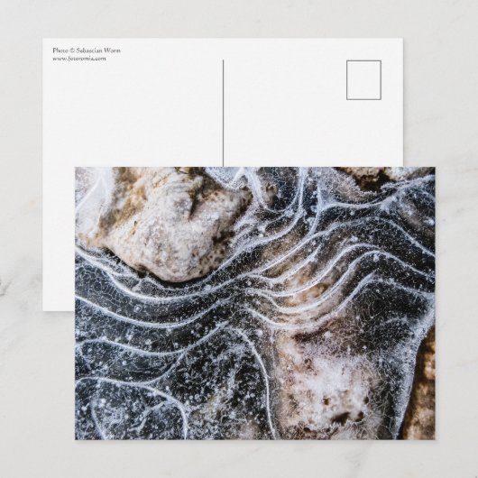 アイスクリスタル自然写真 ポストカード (正面/裏面)