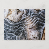 アイスクリスタル自然写真 ポストカード (正面)