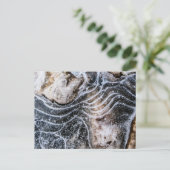 アイスクリスタル自然写真 ポストカード (スタンド正面)