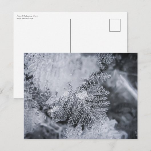 アイスクリスタル自然写真 ポストカード (正面/裏面)