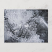 アイスクリスタル自然写真 ポストカード (正面)