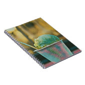 アイスクリームのレシピ ノートブック (右側)