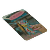 アイスクリームの風味 マグネット (右側)