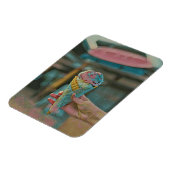 アイスクリームの風味 マグネット (左側)